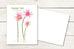 Thank You Much Collection | Notecard Set
